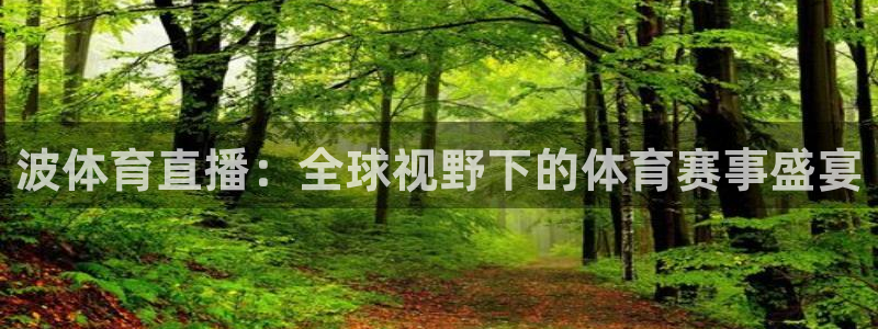 鲨鱼直播破解盒子：波体育直播：全球视野下的体育赛事盛宴